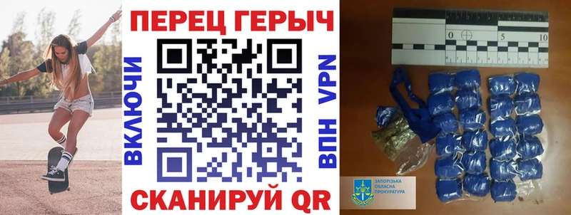 ГЕРОИН хмурый  Верхотурье 