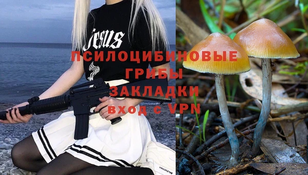 бошки Бронницы