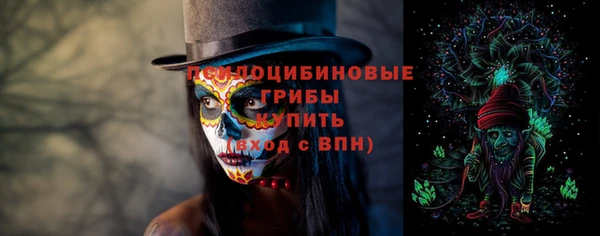 2c-b Бородино