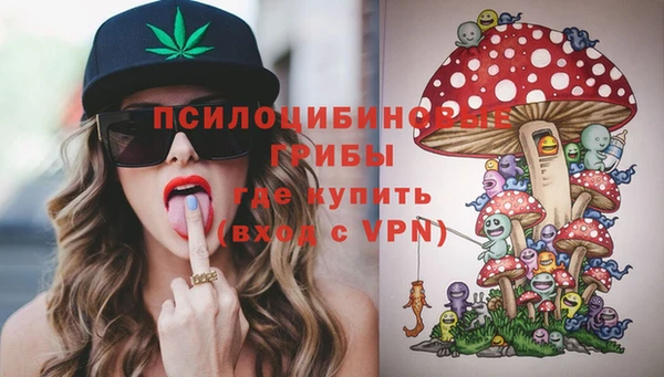 2c-b Бородино