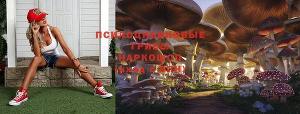 2c-b Бородино