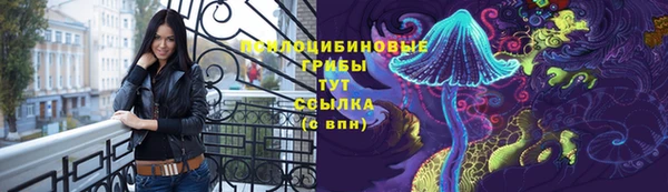 бошки Бронницы