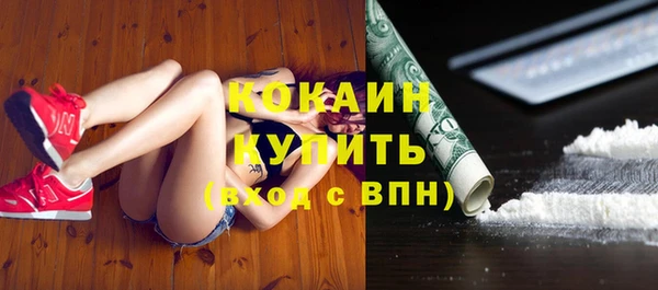 2c-b Бородино