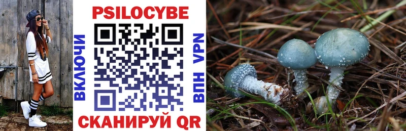 цена   Верхотурье  Псилоцибиновые грибы Psilocybine cubensis 